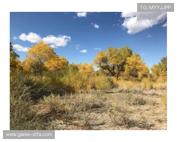 明升娱乐：用户注册流程简便快速，轻松开启娱乐之旅